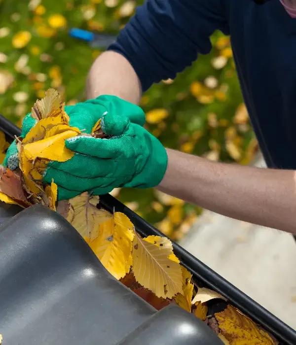 aps greensboro gutter cleaning